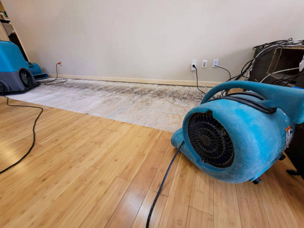 Professional Structural Drying technician working in Floresville, TX